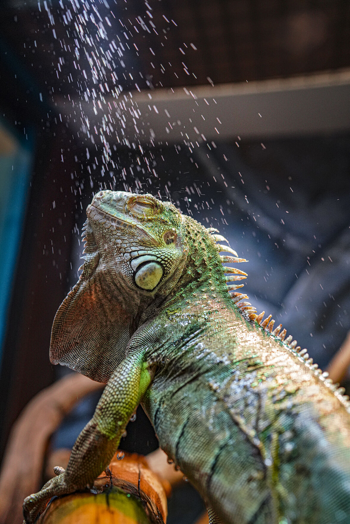 121421_HarellHouseMuseum02-rgb.jpg